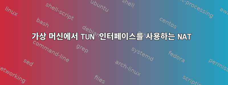 가상 머신에서 TUN 인터페이스를 사용하는 NAT