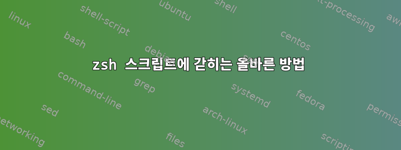 zsh 스크립트에 갇히는 올바른 방법