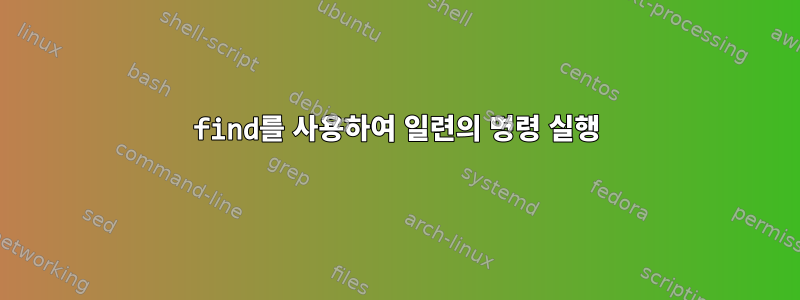 find를 사용하여 일련의 명령 실행