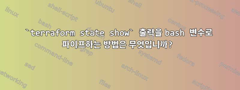 `terraform state show` 출력을 bash 변수로 파이프하는 방법은 무엇입니까?