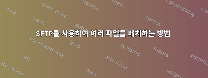 SFTP를 사용하여 여러 파일을 배치하는 방법