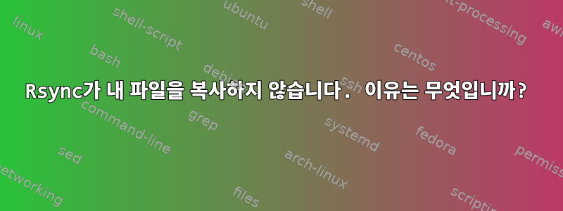 Rsync가 내 파일을 복사하지 않습니다. 이유는 무엇입니까?