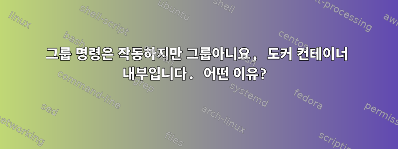 그룹 명령은 작동하지만 그룹아니요, 도커 컨테이너 내부입니다. 어떤 이유?