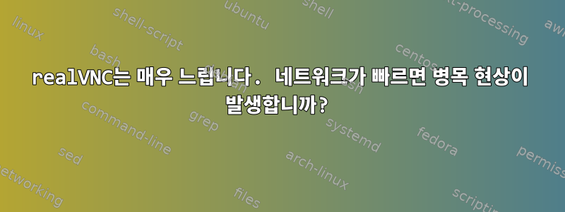 realVNC는 매우 느립니다. 네트워크가 빠르면 병목 현상이 발생합니까?