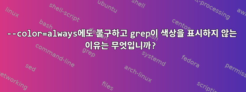 --color=always에도 불구하고 grep이 색상을 표시하지 않는 이유는 무엇입니까?