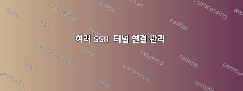 여러 SSH 터널 연결 관리