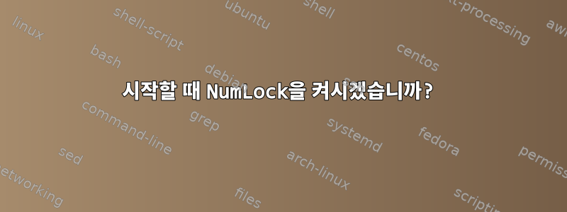 시작할 때 NumLock을 켜시겠습니까?