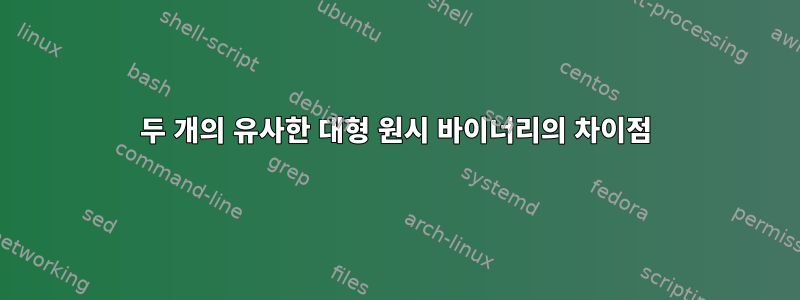 두 개의 유사한 대형 원시 바이너리의 차이점