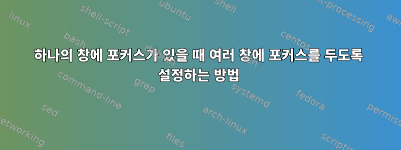 하나의 창에 포커스가 있을 때 여러 창에 포커스를 두도록 설정하는 방법