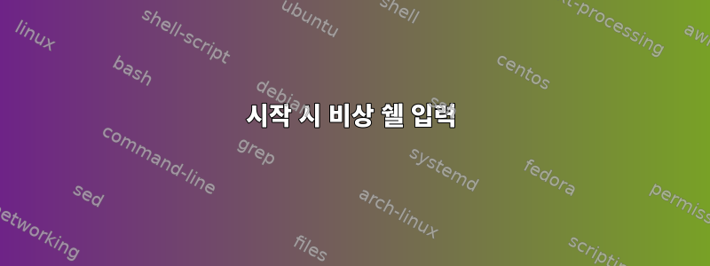 시작 시 비상 쉘 입력