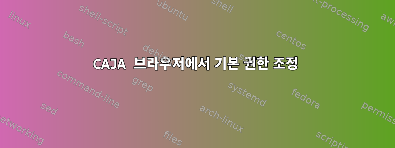 CAJA 브라우저에서 기본 권한 조정