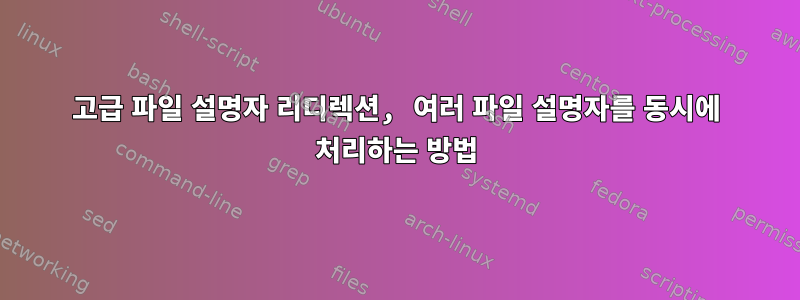 고급 파일 설명자 리디렉션, 여러 파일 설명자를 동시에 처리하는 방법