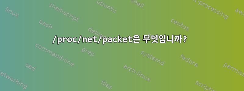 /proc/net/packet은 무엇입니까?