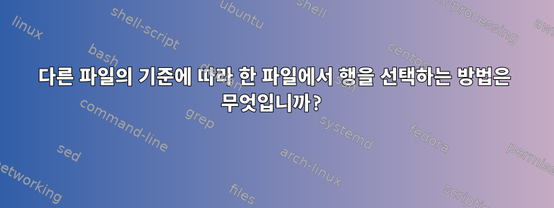 다른 파일의 기준에 따라 한 파일에서 행을 선택하는 방법은 무엇입니까?