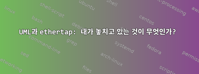 UML과 ethertap: 내가 놓치고 있는 것이 무엇인가?