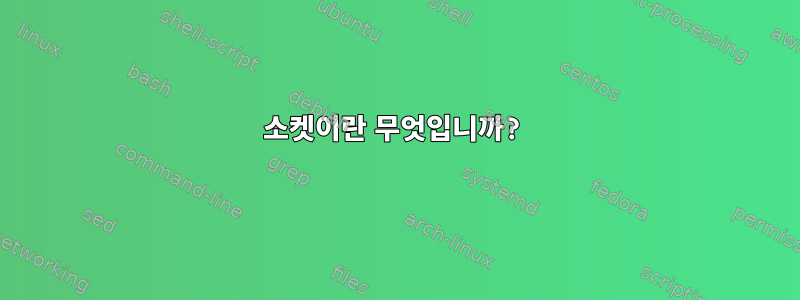 소켓이란 무엇입니까?