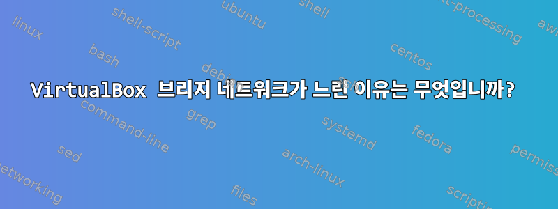 VirtualBox 브리지 네트워크가 느린 이유는 무엇입니까?