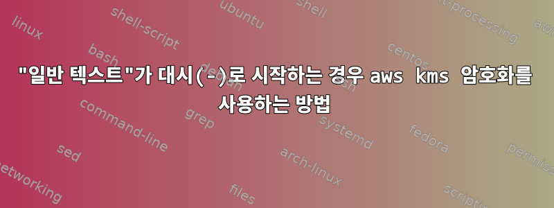 "일반 텍스트"가 대시(-)로 시작하는 경우 aws kms 암호화를 사용하는 방법