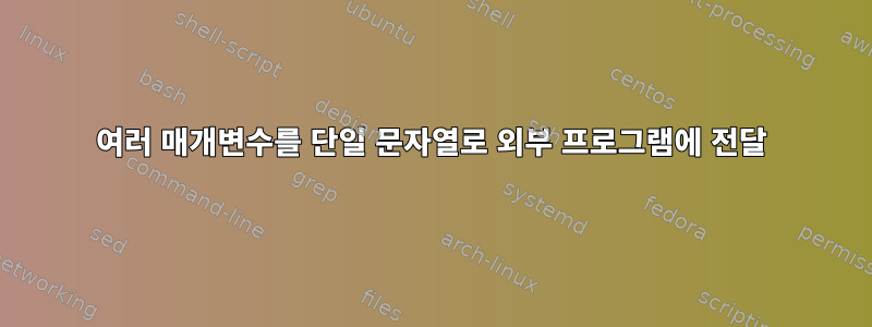 여러 매개변수를 단일 문자열로 외부 프로그램에 전달