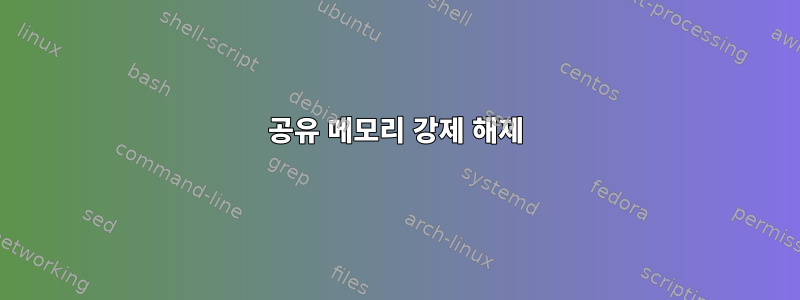 공유 메모리 강제 해제