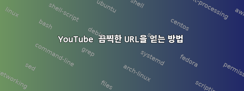 YouTube 끔찍한 URL을 얻는 방법