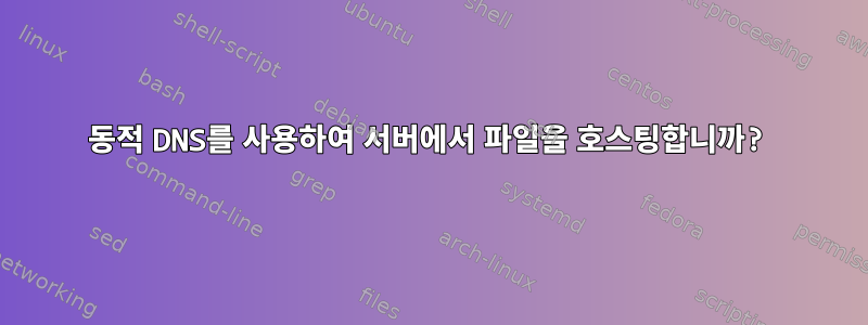 동적 DNS를 사용하여 서버에서 파일을 호스팅합니까?