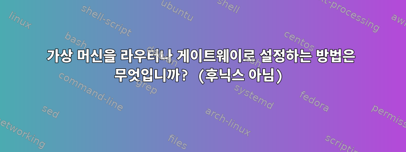 가상 머신을 라우터나 게이트웨이로 설정하는 방법은 무엇입니까? (후닉스 아님)