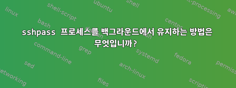 sshpass 프로세스를 백그라운드에서 유지하는 방법은 무엇입니까?