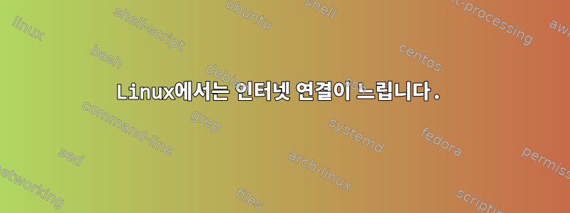 Linux에서는 인터넷 연결이 느립니다.