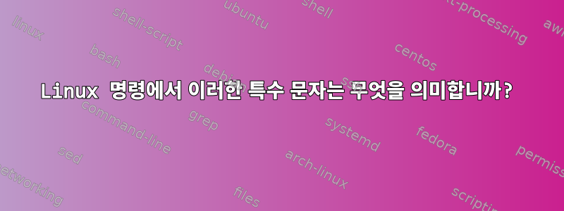 Linux 명령에서 이러한 특수 문자는 무엇을 의미합니까?