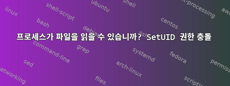 프로세스가 파일을 읽을 수 있습니까? SetUID 권한 충돌