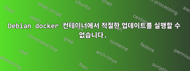 Debian docker 컨테이너에서 적절한 업데이트를 실행할 수 없습니다.