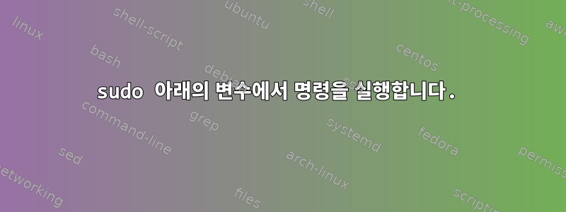 sudo 아래의 변수에서 명령을 실행합니다.