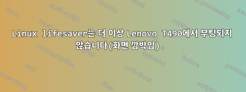 Linux lifesaver는 더 이상 Lenovo T490에서 부팅되지 않습니다(화면 깜박임).