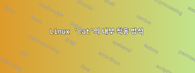 Linux 'cat'의 내부 작동 방식