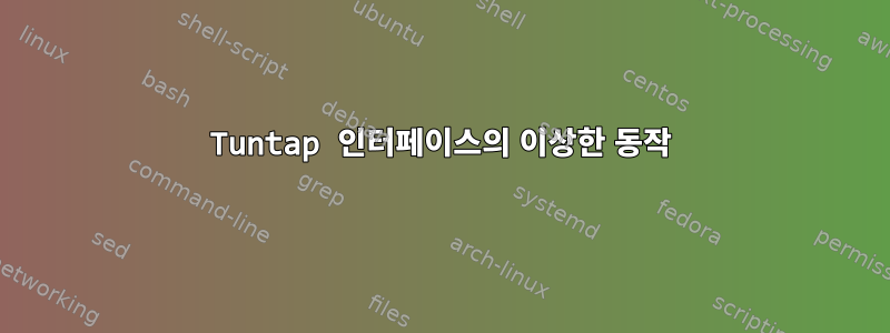 Tuntap 인터페이스의 이상한 동작