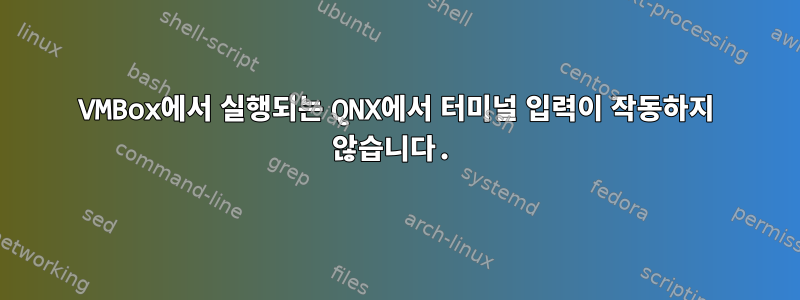 VMBox에서 실행되는 QNX에서 터미널 입력이 작동하지 않습니다.