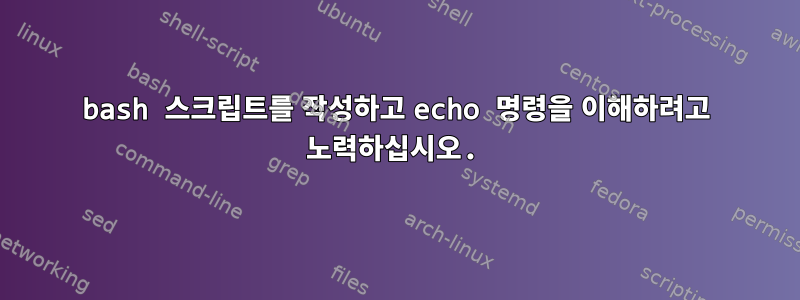 bash 스크립트를 작성하고 echo 명령을 이해하려고 노력하십시오.