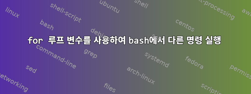 for 루프 변수를 사용하여 bash에서 다른 명령 실행