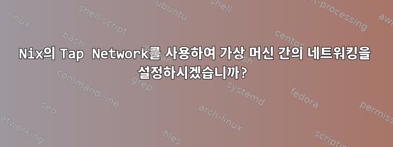 Nix의 Tap Network를 사용하여 가상 머신 간의 네트워킹을 설정하시겠습니까?