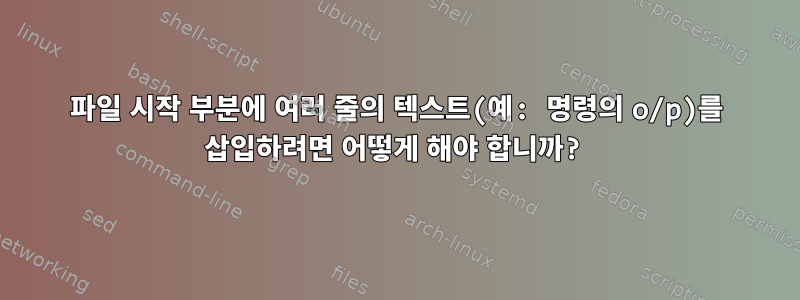 파일 시작 부분에 여러 줄의 텍스트(예: 명령의 o/p)를 삽입하려면 어떻게 해야 합니까?