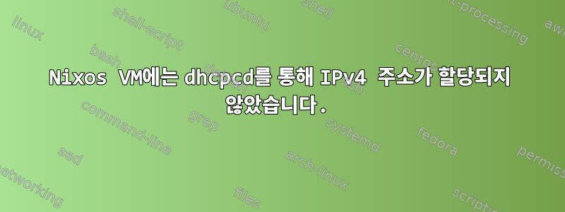 Nixos VM에는 dhcpcd를 통해 IPv4 주소가 할당되지 않았습니다.