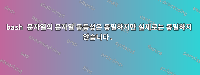 bash 문자열의 문자열 동등성은 동일하지만 실제로는 동일하지 않습니다.