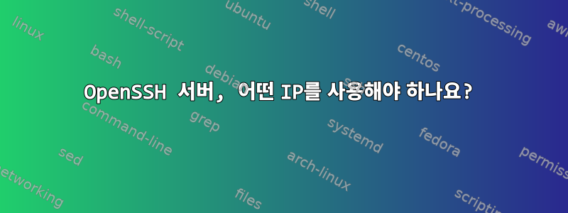 OpenSSH 서버, 어떤 IP를 사용해야 하나요?