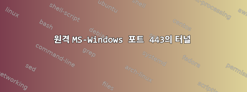 원격 MS-Windows 포트 443의 터널