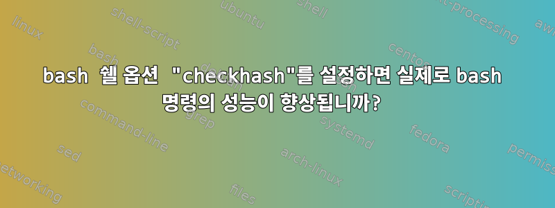 bash 쉘 옵션 "checkhash"를 설정하면 실제로 bash 명령의 성능이 향상됩니까?