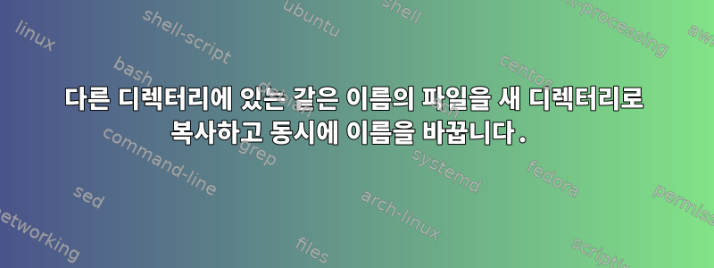 다른 디렉터리에 있는 같은 이름의 파일을 새 디렉터리로 복사하고 동시에 이름을 바꿉니다.