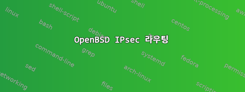 OpenBSD IPsec 라우팅