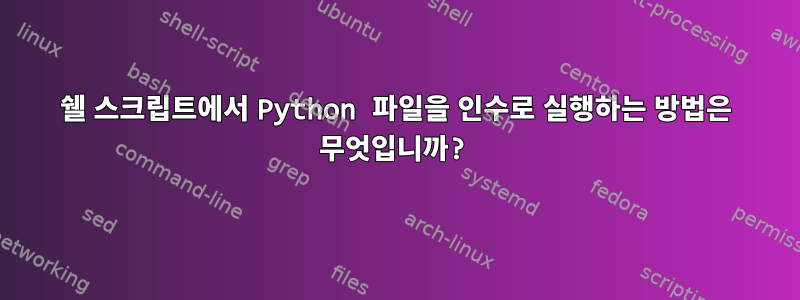 쉘 스크립트에서 Python 파일을 인수로 실행하는 방법은 무엇입니까?