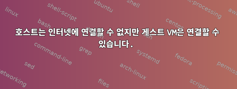 호스트는 인터넷에 연결할 수 없지만 게스트 VM은 연결할 수 있습니다.